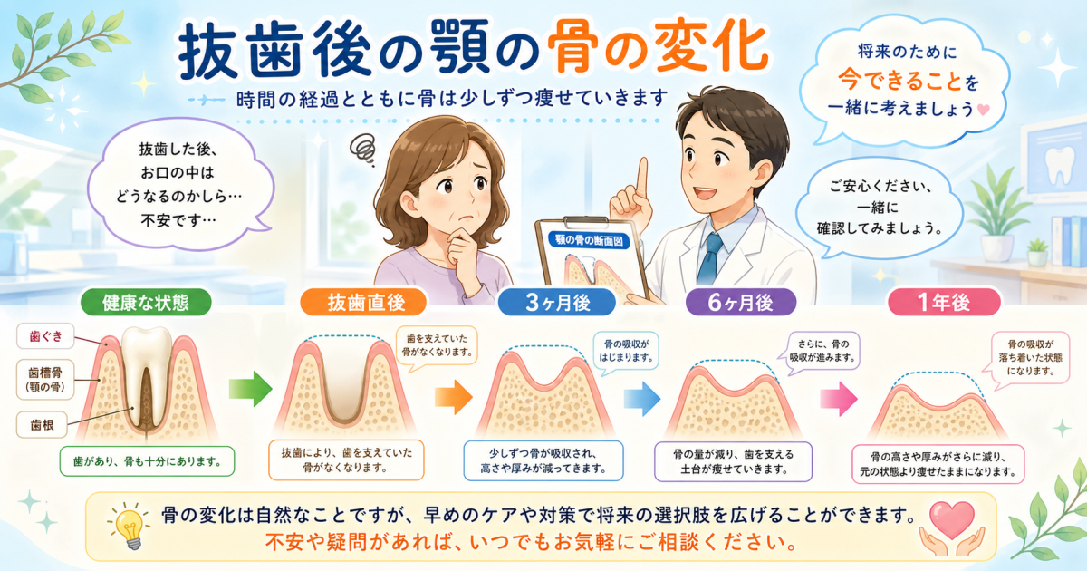 抜歯後に歯がないまま放置すると骨はどう変化する？歯科医師が解説